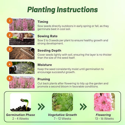 Outsidepride Delphinium Pink Larkspur Seeds for Planting Outdoors - 1000 Pcs Annual, Self-Seeding, Heat & Drought Tolerant Wildflower Seeds, Colorful Blooms for Flower Arrangement & Pollinator Garden
