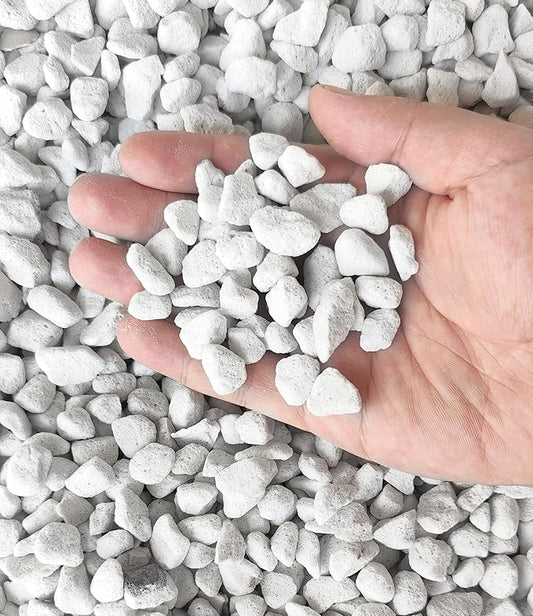 2 QT Professional Grade Horticultural Organic Perlite (2 QT, Large Size - Perlite)