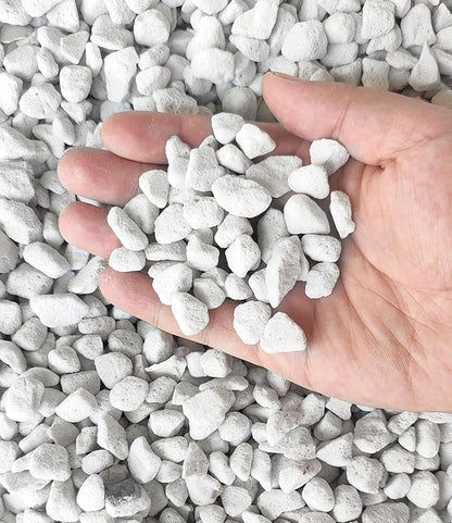 10 QT Professional Grade Horticultural Organic Perlite (10 QT, Large Size - Perlite)