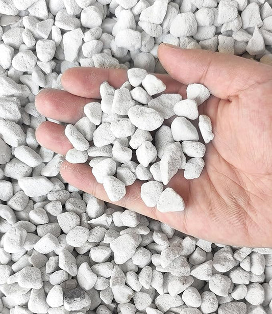 5 QT Professional Grade Horticultural Organic Perlite (5 QT, Large Size - Perlite)