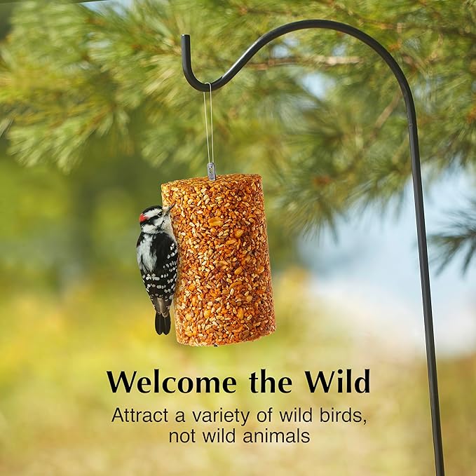 C&S Ready to Use Hot Pepper Seed Cylinder 1.76 Pounds 2 Pack