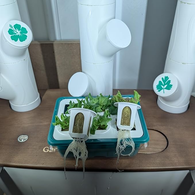 Grow Cubes for Hydroponic System/Grow Cubes Compatible with Gardyn (Seed Starter Nursery + w/Rockwool)