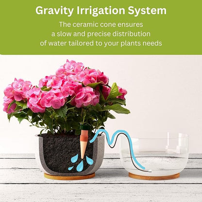 Blumat Classic Self-Watering Stakes - Automatic Drip Irrigation System for Indoor Plant Watering & Outdoor - Water Drip Solution for Potted Plants - Slow Release Stakes, 12 Pack, wo Adapter