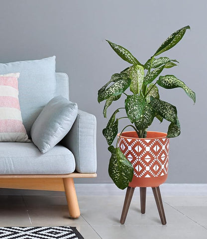 D'vine Dev 10 Inch Planter Pot with Stand, Mid-Century Tall Plant Pot with Legs for Indoor Plants, Pottery Red Terracotta/White, 88-G-B-5