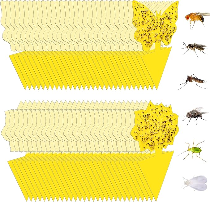 60 Pack Fruit Fly Trap, Fungus Gnat Trap Killer Protect Plants Indoor Outdoor, Double Sided Yellow Bug Sticky Traps for Fungus Gnat, Fruit Fly and Other Insects