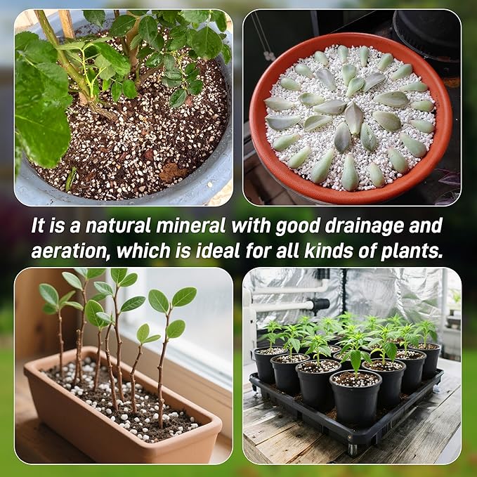 9 Quarts Perlite for Plant Soil - Amendment for Potting Soil, Improves Drainage and Aeration for Soil,Better for Root Growth (1/4 inch)