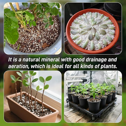 29 Quarts Perlite for Plant Soil - Amendment for Potting Soil, Improves Drainage and Aeration for Soil,Better for Root Growth (1/4 inch)