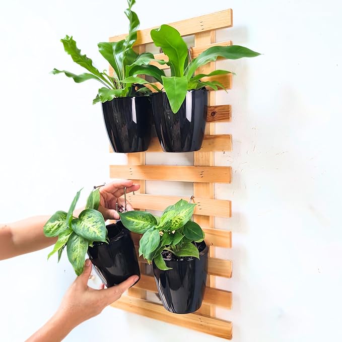 LaLaGreen Wall Planters for Indoor Plants - 10 Pack, 4 Inch Black Self Watering Pots Modern Indoor Hydroponic Vertical Live Garden Wall Mounted Hanging Plant Holder