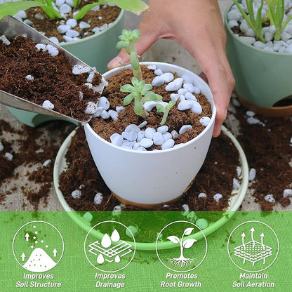 9 Quarts Perlite for Plant Soil - Amendment for Potting Soil, Improves Drainage and Aeration for Soil,Better for Root Growth (1/4 inch)