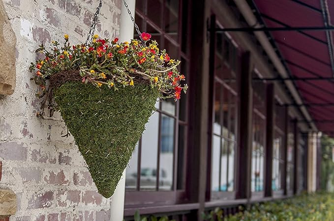 SuperMoss (29282) Mossweave Hanging Basket - Cone, Fresh Green with Wicker Rim, Large (12.5)"