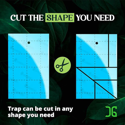 Catchmaster GRO Blue Regular Double Sided Sticky Traps 72PK, Adhesive Bug & Fruit Fly Trap, Pest Control for Home, Farm, Garden, Hydroponics & Greenhouse, Protect Live Plants Indoor & Outdoor