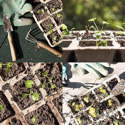 144 Cells Seed Entry Tray, 12 Packs Biodegradable Seedling Peat Pots, Organic Germinating Plant Entry Kit with 100 White Labels and 2 Planting Transplanters