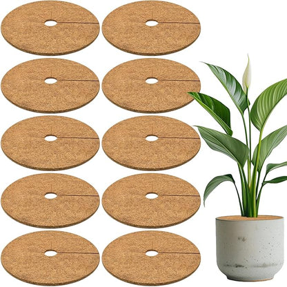 ZeeDix 10 Pack Coconut Fiber Mulch Ring, 14 Inch Coco Coir Tree Ring Mulch Mat, 100% Natural Tree Protector Mat Plant Cover Ring Coconut Coir Discs Tree Mats Mulch Rings for Indoor Outdoor Plants