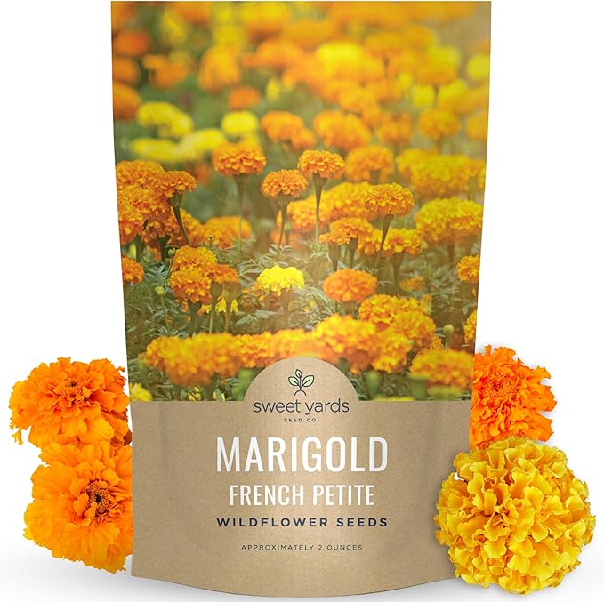 Marigold French Petite - Bulk 2 Ounce Pouch - 15,000 Flower Seeds for Planting - Tagetes patula