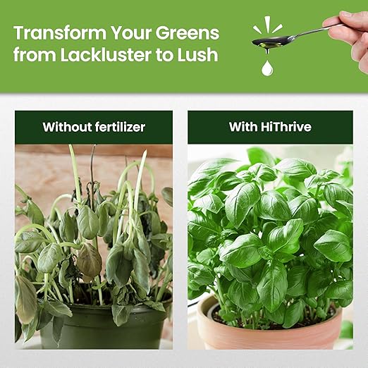 16oz Liquid Fertilizer for Vegetable Garden – Makes 24 Gallons of Garden Fertilizer for Outdoor Vegetables - Herbs & Leafy Greens Live Plants Indoor Plant Food, Liquid Plant Food for Growth & Flavor