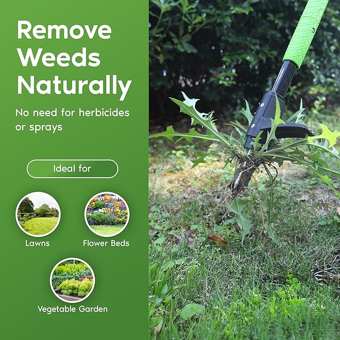 Garden Guru Stand Up Weeder Weed Puller Tool – Long Handle up to 45-Inch – Heavy Duty 3 Claw Weeder with Foot Pedal – No Bending or Kneeling – Great for Dandelions, Thistle, Grass (4 Pack)