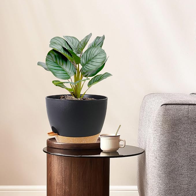 8 inch Self Watering Pots, 2 Pack Plastic Planters with Mesh Drainage Holes for Garden Plants and Flower, Plants Pots with Deep Reservoir for Indoor Outdoor Plants, Black with Brown