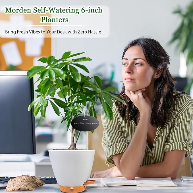 6 Inch Self Watering Pots for Indoor Plants (5-Pack) – Small Plastic Planters with Water Window, Drainage Holes & Trays, Indoor Outdoor Flower Pots for Herbs, Succulents, Home Garden Decor (White)