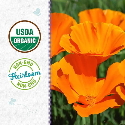 Back to the Roots 100% Organic Seed Packet - Poppy 'California'