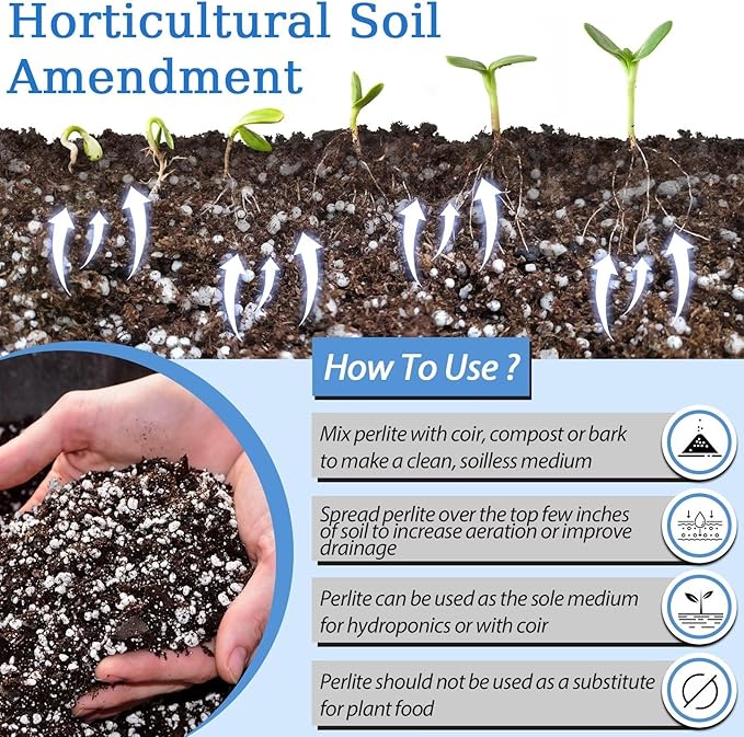 Riare 6 Quarts Organic Perlite for Plants - Horticultural Soil Amendment for Potting Mix, Natural Chunky Soil Additive Conditioner to Improve Root Growth, Drainage and Ventilation