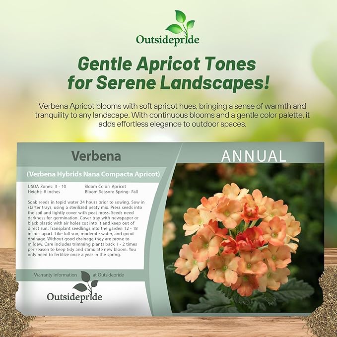Outsidepride Apricot Verbena Seeds for Planting - 2000 Pcs. Annual, Drought Tolerant & Easy to Grow, Ground Cover with Fragrant & Vibrant Blooms for Window Boxes, Borders & Pollinator Gardens