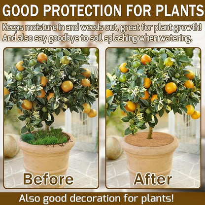 ZeeDix 12 Pack Coconut Fiber Mulch Ring, 11.8 Inch Coco Coir Tree Ring Mulch Mat, 100% Natural Tree Protector Mat Plant Cover Ring Coconut Coir Discs Tree Mats Mulch Rings for Indoor Outdoor Plants