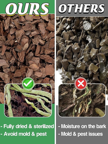 8qt New Zealand Orchid Bark, 1/2-3/4in Sun-Dried Medium Organic Pine Wood Chip Potting Barks, Orchids Mix Plant Compost Mulch for Promoting Root Development