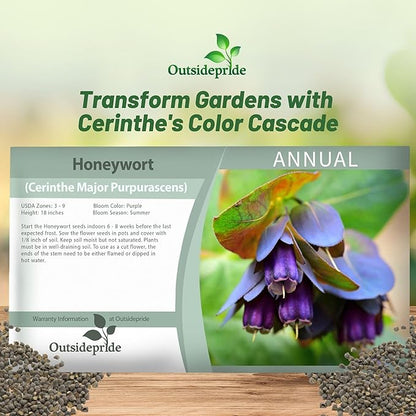 Outsidepride Cerinthe Major Honeywort Seeds - 50 Pcs. Annual, Self-Sowing & Easy to Grow, Flower Seeds for Planting, Vibrant Purple-Blue Tube-Like Blooms for Garden Beds, Borders & Container Displays