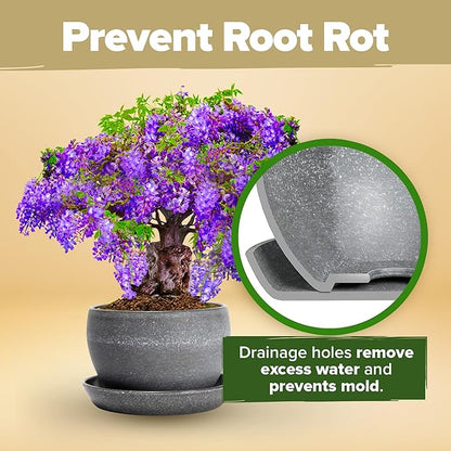 HOME GROWN Bonsai Tree Kit – Grow 4 Bonsai Types Indoors with Complete Starter Kit Including Pots Peat Pellets and Bonus Grow Guide – Unique Gardening Gift for Men Women Beginners