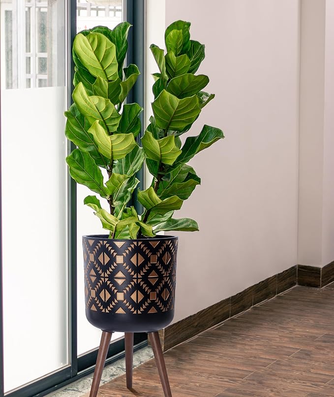 D'vine Dev 12 Inch Planter Pot with Stand, Mid-Century Tall Plant Pot with Legs for Indoor Plants, Bronze/Black, 88-G-C-6