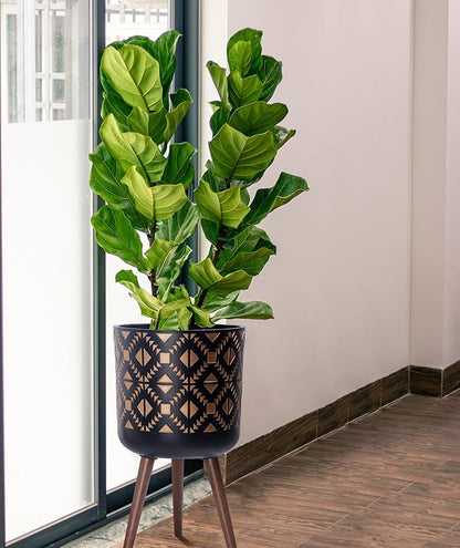 D'vine Dev 12 Inch Planter Pot with Stand, Mid-Century Tall Plant Pot with Legs for Indoor Plants, Bronze/Black, 88-G-C-6