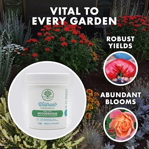 Mycorrhizae 16 Species Inoculant (1 lb) Improves Drought Tolerance + Saves Precious Water + Fertilizer, Root Stimulator • Explodes Root Growth [1 lb Treats 19,200 (4 inch) Plants]