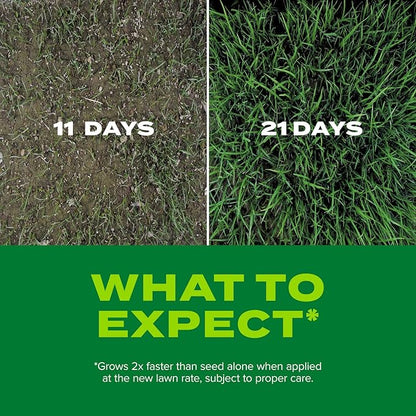 Scotts Turf Builder Rapid Grass Tall Fescue Mix, Combination Grass Seed and Fertilizer, Grows Green Grass in Just Weeks, 5.6 lbs.