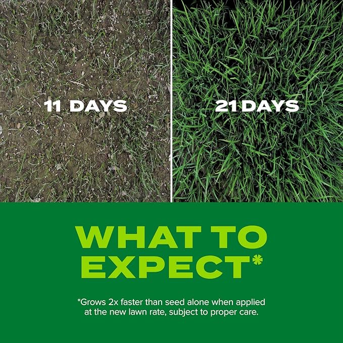 Scotts Turf Builder Rapid Grass Tall Fescue Mix, Combination Grass Seed and Fertilizer, Grows Green Grass in Just Weeks, 16 lbs.