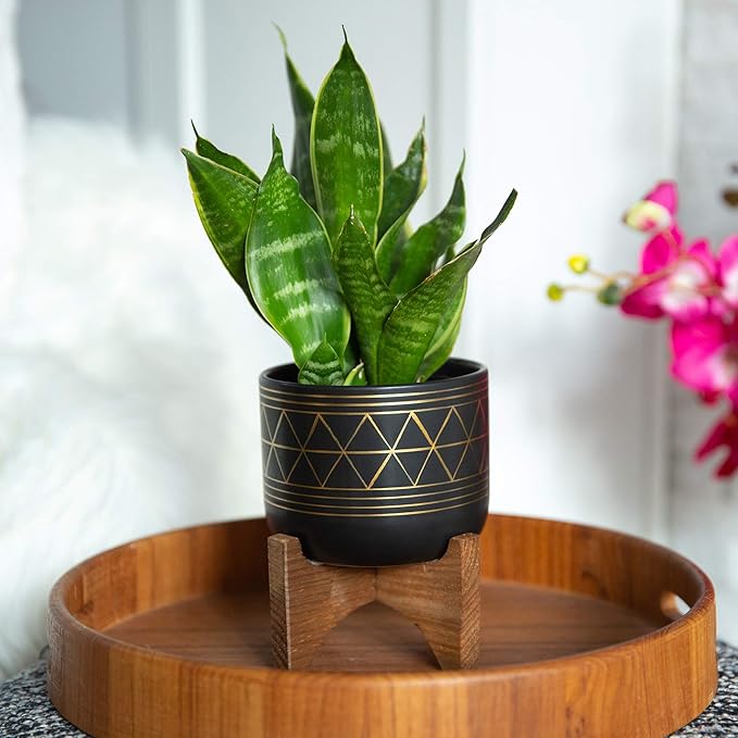 Flora Bunda 5" Black Pot Gold Line Ceramic Geometric Planter W/Wood Stand Planter Mid Century