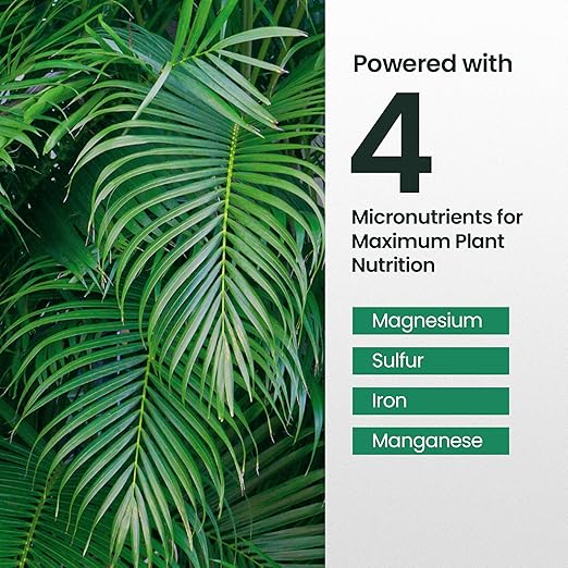 Premium 16oz Palm Fertilizer - Lush Growth, Rich in Plant Nutrients, Easy Liquid Application