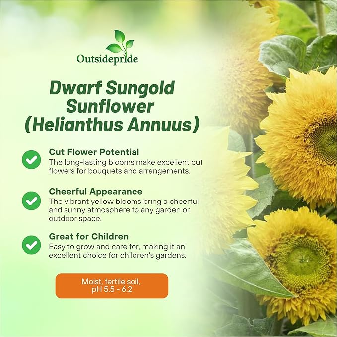 Outsidepride Dwarf Sungold Sunflower Seeds for Planting - 5 Lbs. Annual, Easy to Grow Flower Seeds w/Vibrant, Abundant Blooms for Cut Flower Arrangements & Pollinator & Vegetable Gardens