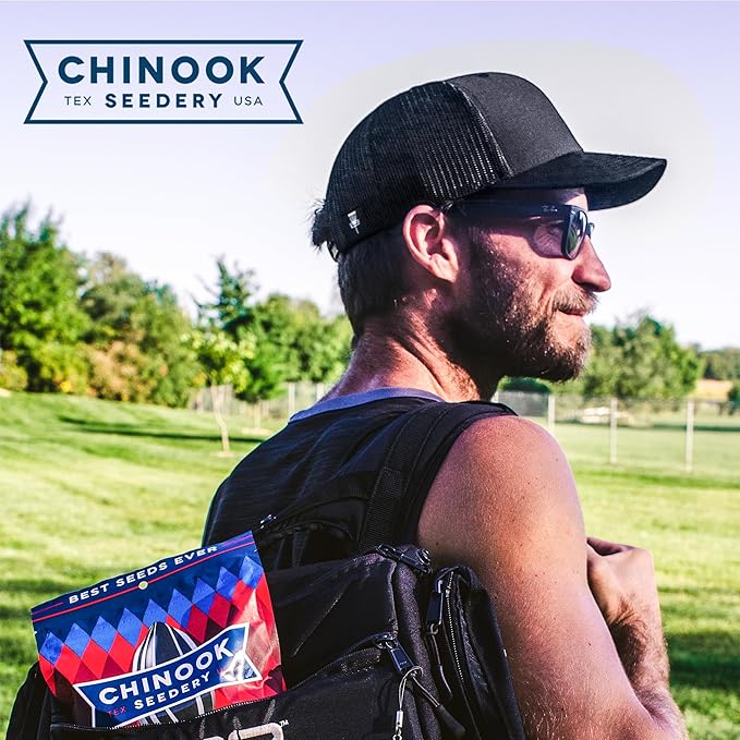 Chinook Seedery Low Sodium Sunflower Seeds – Parmesan & Pepper Flavor, Pack of 36, 1.5oz – Sunflower Seeds to Eat – Keto, Jumbo, Roasted, Baseball Snacks