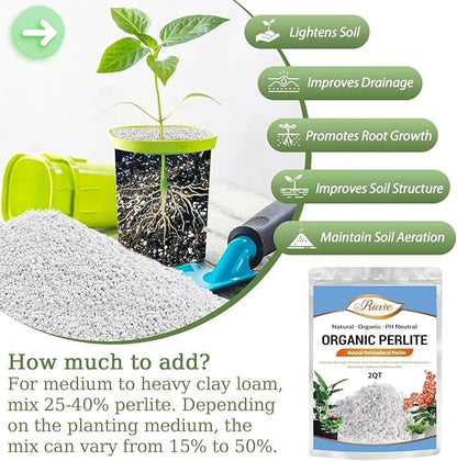 Riare 2 Quarts Organic Perlite for Plants - Horticultural Perlite Soil Amendment for Plants Potting Mix, Natural Chunky Perlite Soil Additive Conditioner Improve Root Growth, Drainage and Ventilation