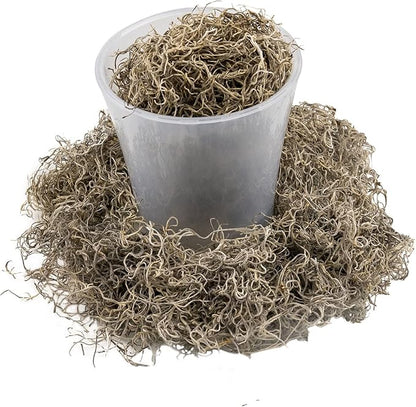 Premium Natural Spanish Moss | Natural Preserved - Great Ground Cover - Filler for Potted Plants - by GARDENERA - 4 Quart Bag
