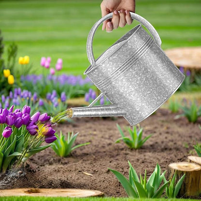 2.5 Gallon Metal Watering Can, Galvanized Watering Can for Outdoor Indoor Plants, Large Water Can for Plants and Garden Flower