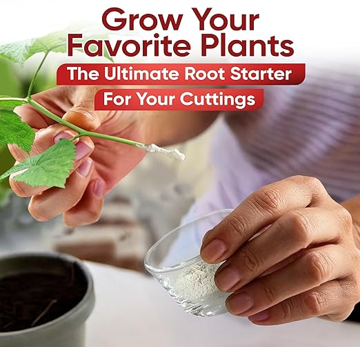 Hormex Rooting Hormone #16 - Highest-Potency Rooting Powder for Hard-to-Root Woody Plants & Tree Cuttings | Ensures Propagation Success for Difficult Plants (1.6% IBA)