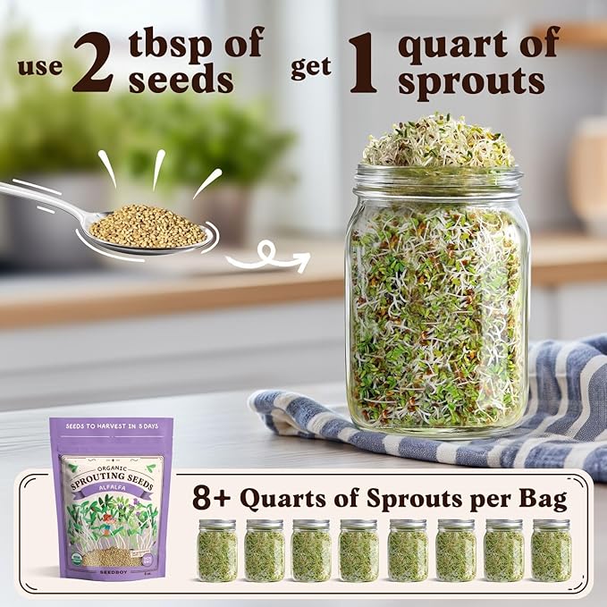 Seedboy Organic Non-GMO Alfalfa Seeds for Sprouting - Microgreens Sprouting Seeds - 8 oz Bag Makes 8 Quarts / 24 Servings (Alfalfa)