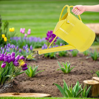 2 Gallon Metal Watering Can for Outdoor Indoor Garden Plants, Galvanized Watering Can for Flowers, Plants & Lawns (Yellow)