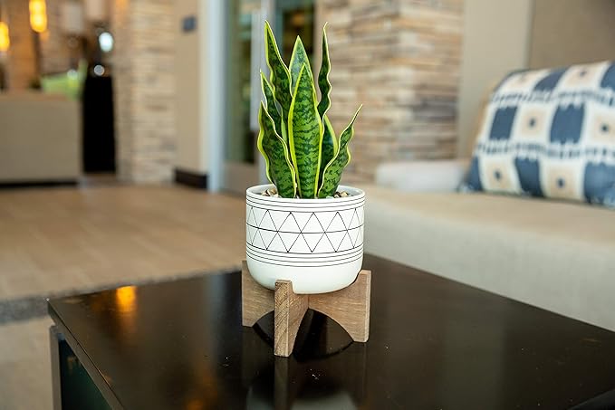Flora Bunda 5" White Black Ceramic Geometric W/Wood Stand Planter Mid Century