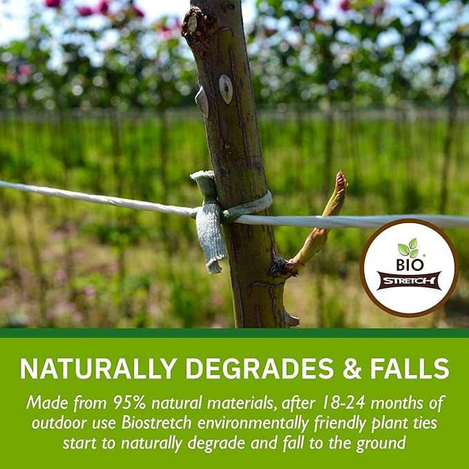 Soft Garden Plant Ties for Indoor & Outdoor Plants - Strong & Stretchy Cut-to-Length Plant Tape for Climbing Plants, Tomato Vines & Home Gardening (65 ft / 20M)