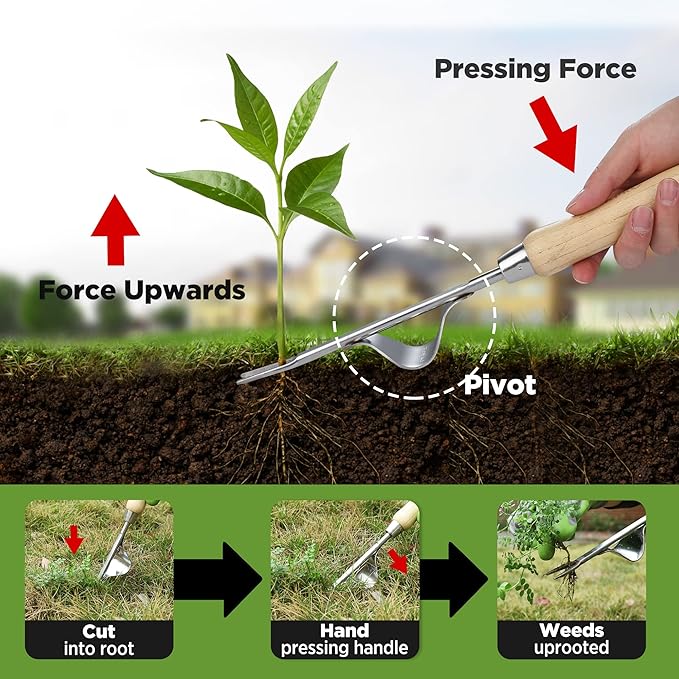 WORKPRO Weed Puller Tool, Metal Leverage Base and V-Shaped Forks for Easy Weed Removal & Deeper Root Digging, Heavy Duty Stainless Steel with Wood Handle, Manual Hand Weeder for Gardening