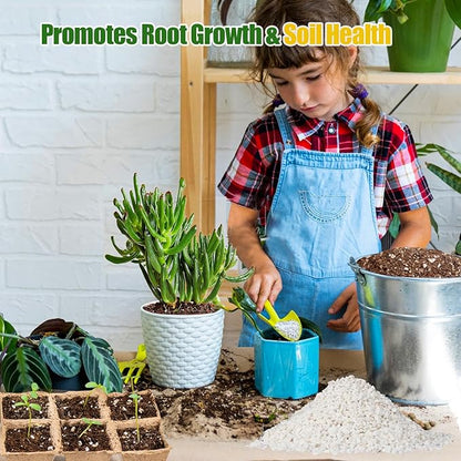 Horticultural Perlite for Plants 1qt, All Natural Horticultural Soil Additive Conditioner Mix, Improve Ventilation and Drainage, Enhance Soil Health and Root Growth