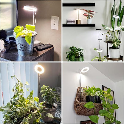 Grow Lights for Indoor Plants, Full Spectrum Small Halo Plant Grow Light with Base, 48 LED Growing Lamp 10 Levels Dimmable Auto On Off 3/9/12 Hrs Timer for Small Plants, White, 3.5in, 5 Pack