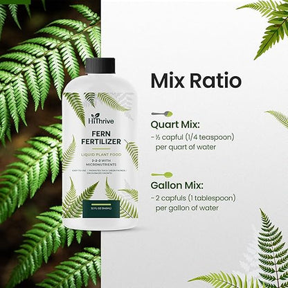 32oz Fern Fertilizer - Makes 64 Gallons of Fertilizer for Ferns, Nutrient-Rich Indoor Plant Food for Greener Growth and Dense, Resilient Fronds with Intricate Texture - Ideal for All Fern Plant Live